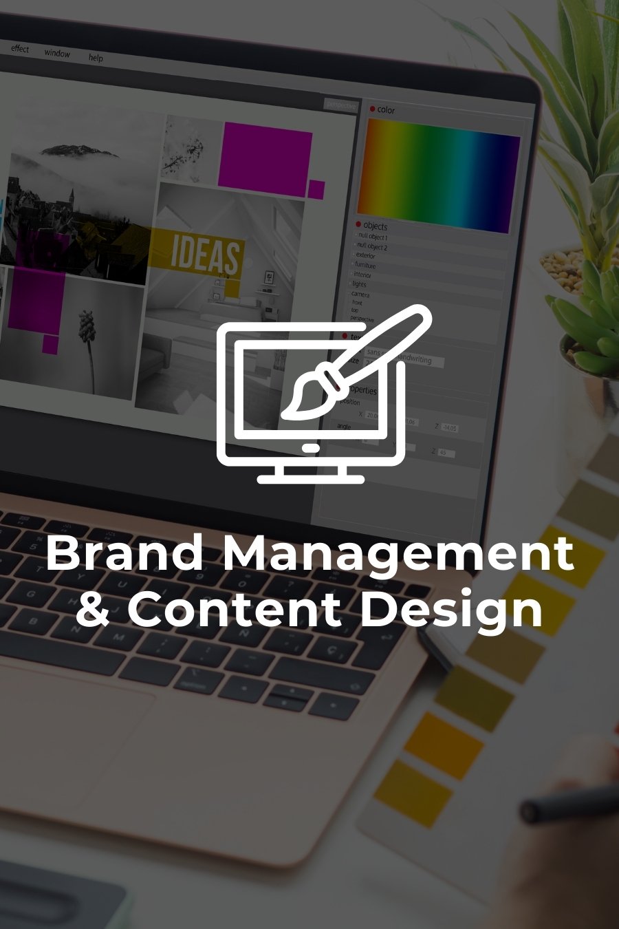 Brand Management